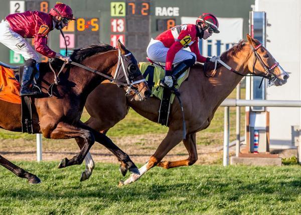 Keeneland: Two Emmys Favored in Sycamore Stakes on Friday