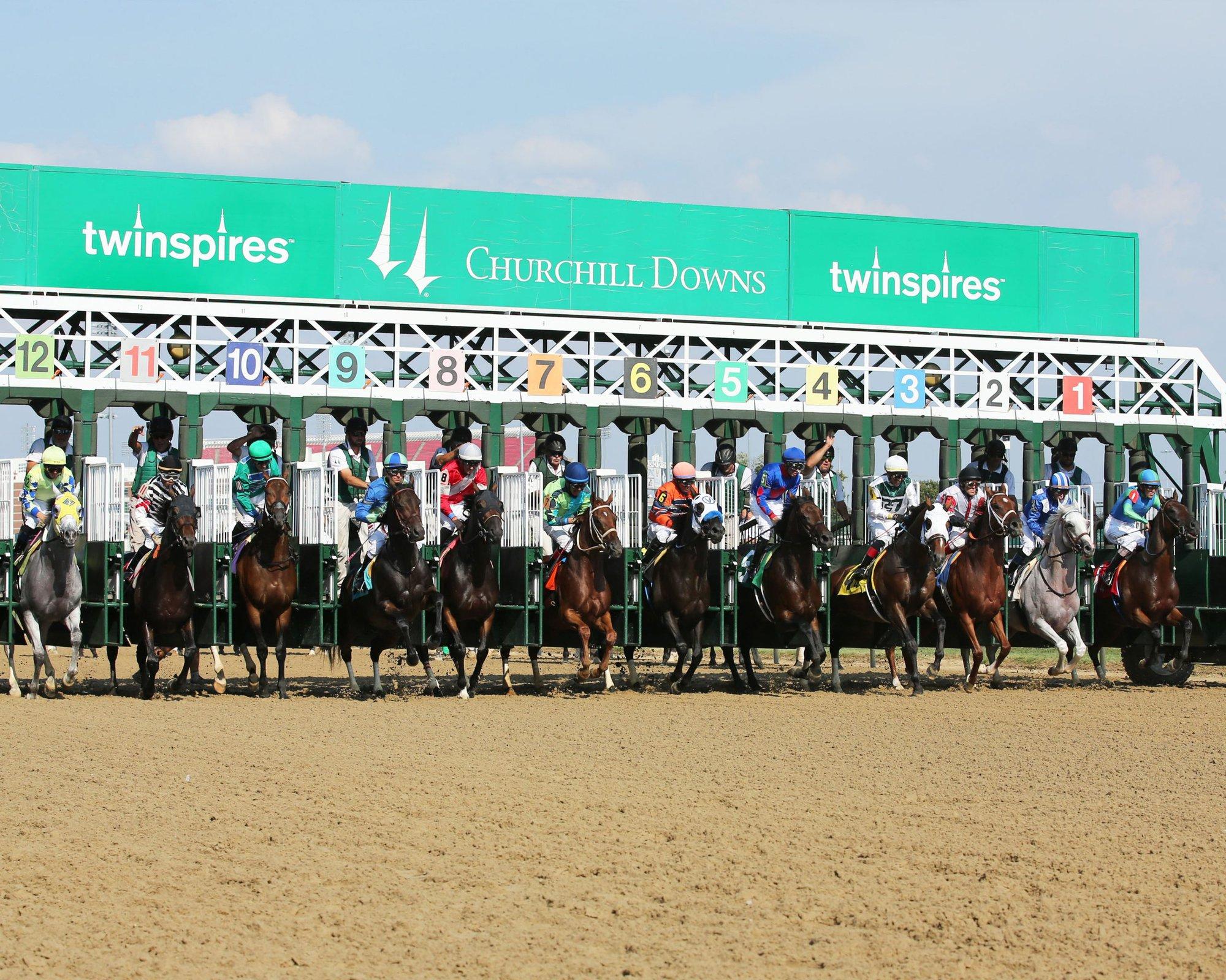Churchill Downs Picks: Chilukki Stakes (11/15/2025)