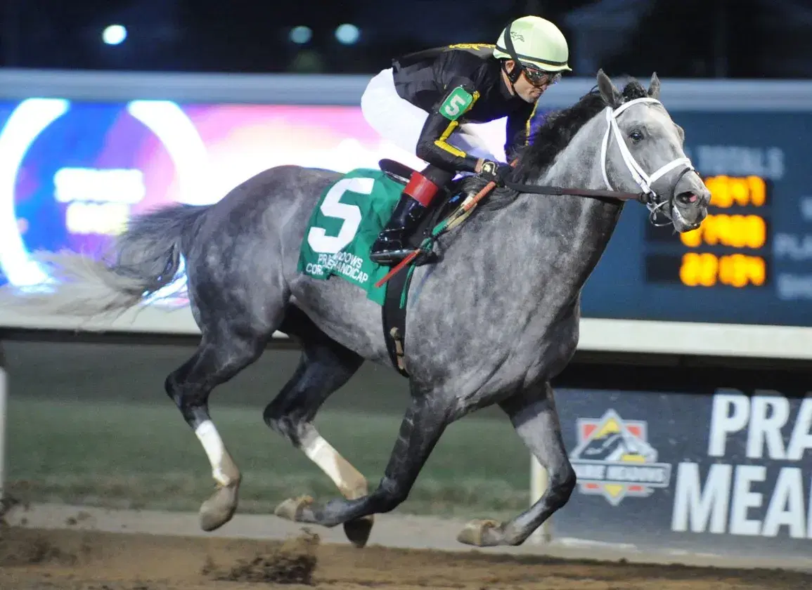 Breeders’ Cup 2021: Takeways from Del Mar Thoroughbred Club