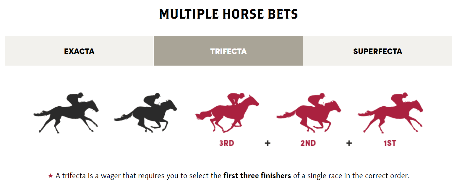 What to Bet and When: Vertical Exotics (Exacta, Trifecta, and Beyond)