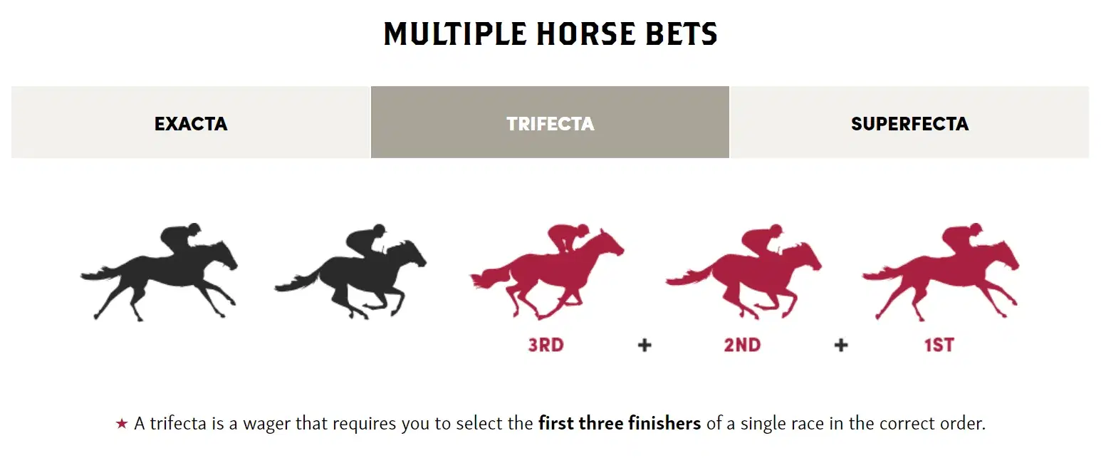 What to Bet and When: Vertical Exotics (Exacta, Trifecta, and Beyond)