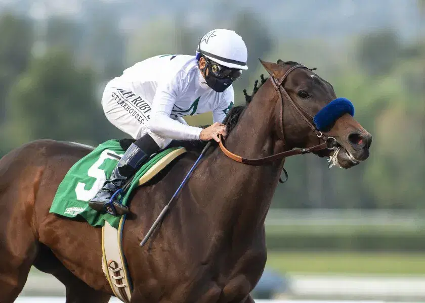 Santa Anita Sham Stakes Among 3 Derby Preps on Saturday
