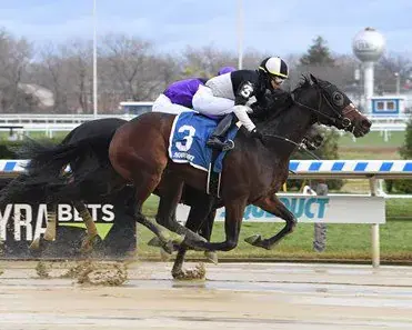 Aqueduct Thursday December 30: Bay Ridge Stakes Analysis