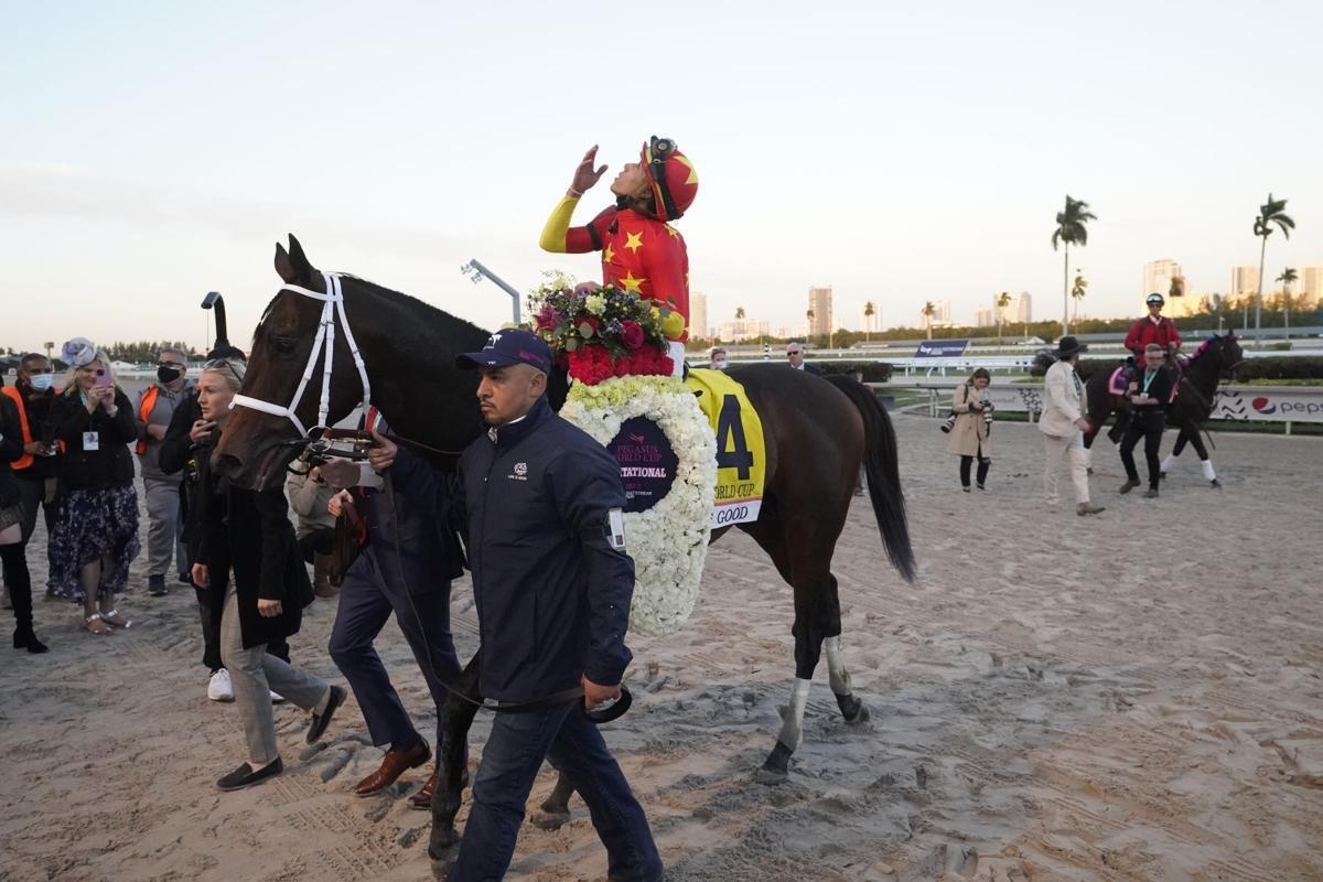 Pegasus World Cup Weekend Recap: Life is Great for Life is Good