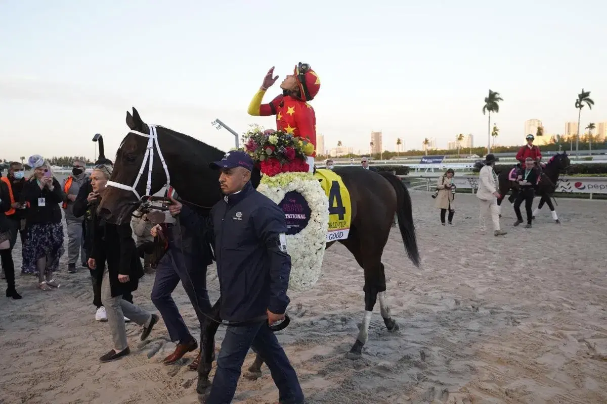 Pegasus World Cup Weekend Recap: Life is Great for Life is Good