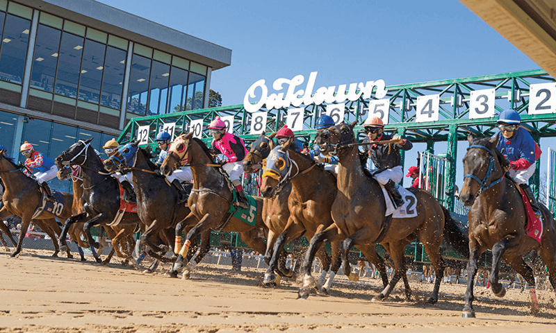 Oaklawn Park Picks- Apple Blossom Handicap (4/12/2025)
