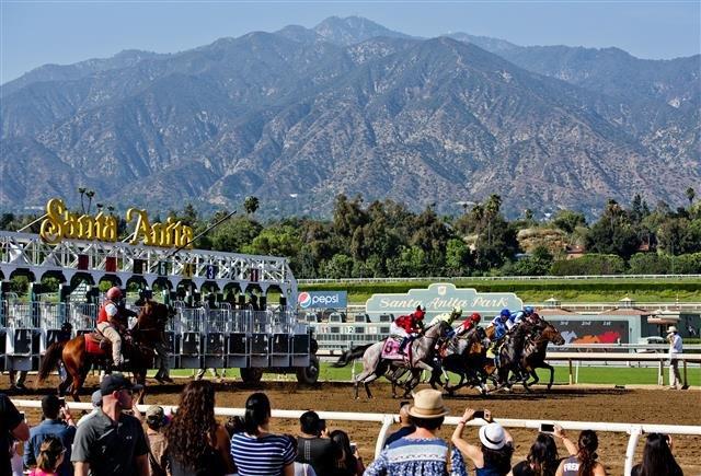 Santa Anita Sunday: San Marcos, Lady of Shamrock, Baffle Analysis