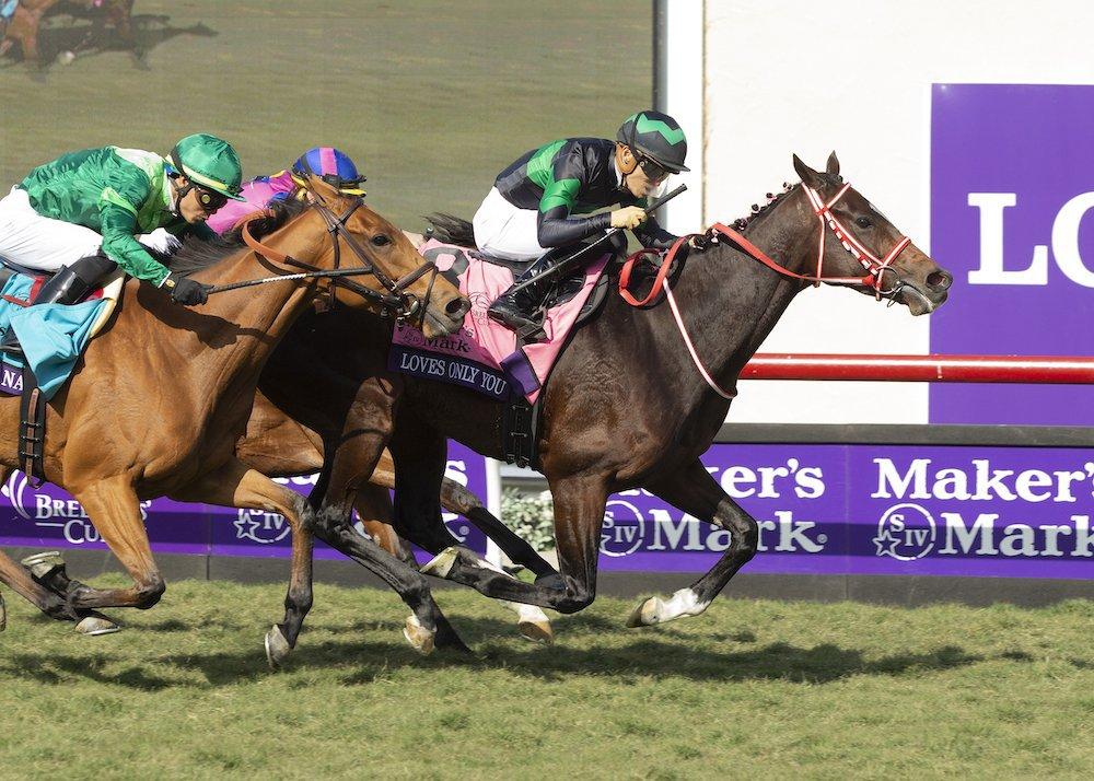 Japanese Horse Racing Quickly Rising To Elite Levels