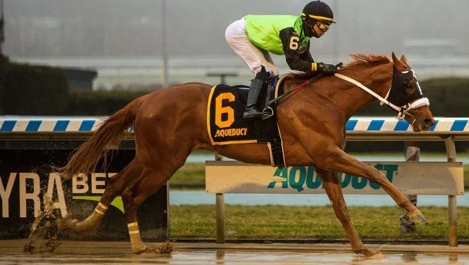 Parx Tuesday: 4 Additional Stakes Races As Parx Madness Rolls On