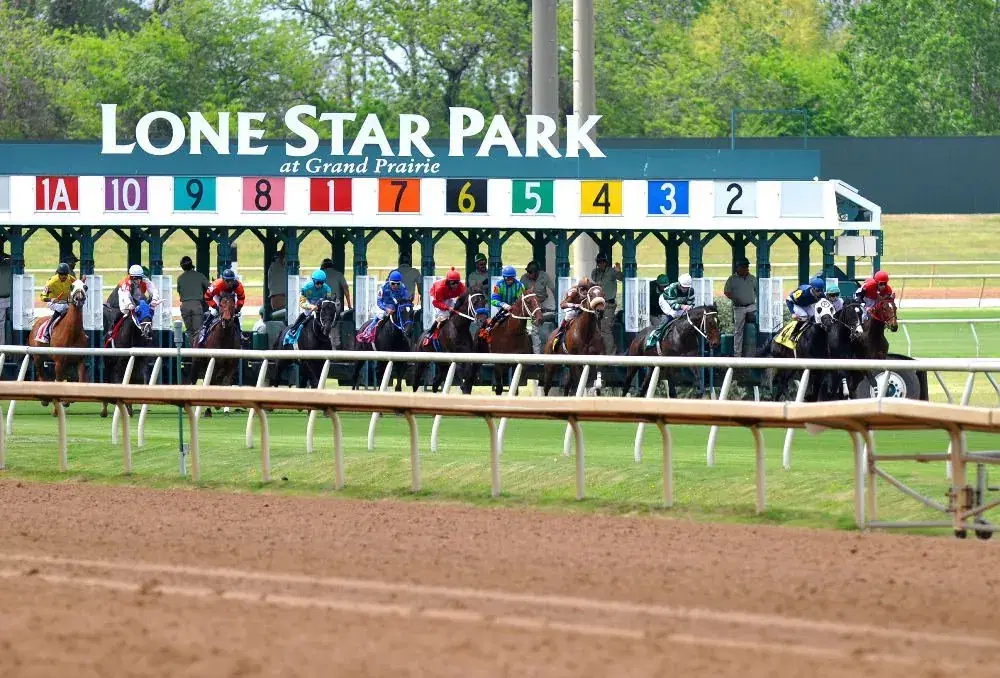 Lone Star Park Thursday: Bluebonnet Stakes Analysis