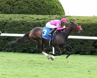 Churchill Downs Saturday: Keertana Overnight Stakes Analysis