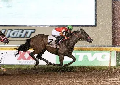 Canterbury Park: Player Friendly Bets Highlight Wednesday Stakes Card