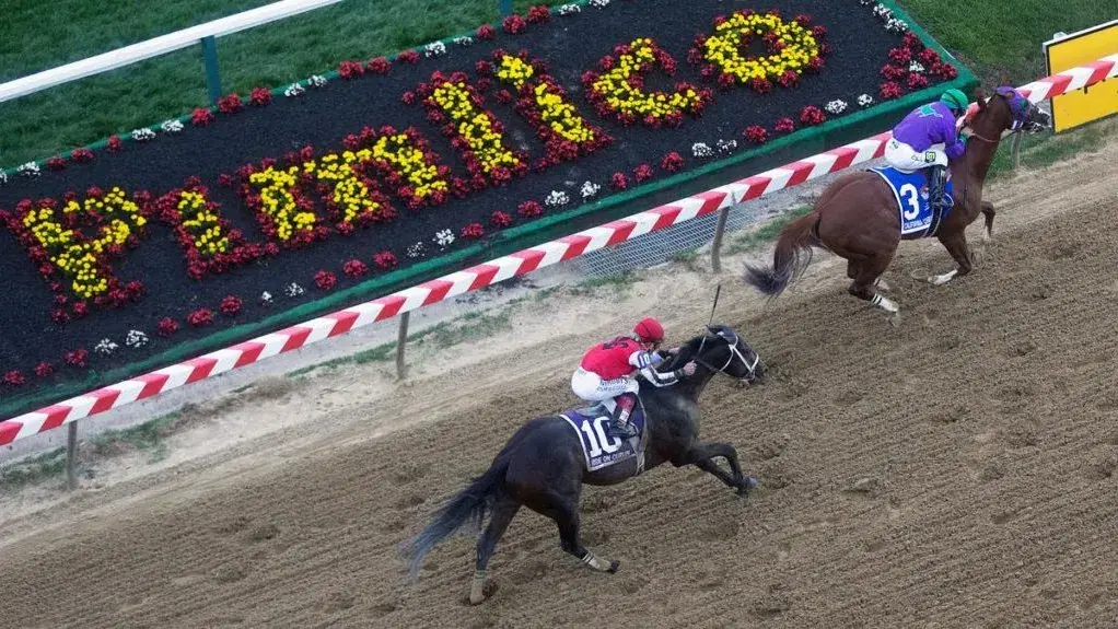 Pimlico Picks: Black-Eyed Susan Stakes (5/16/2025)