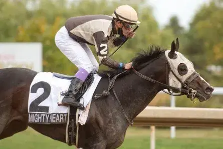 Woodbine Friday (7/1): Dominion Day Stakes Analysis, Selections cover