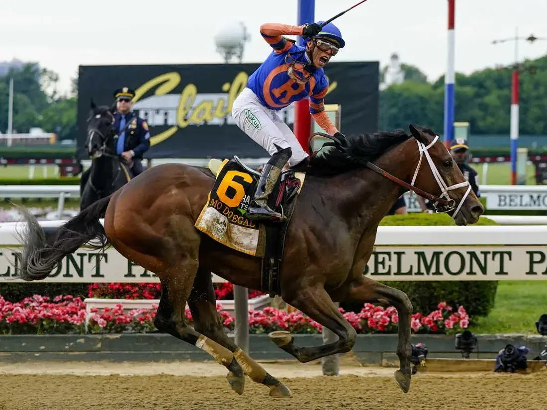 Belmont Stakes Recap: Stars Take Flight in New York