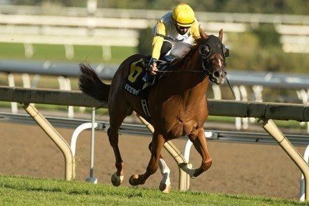 Woodbine: 2 Graded Stakes Races Featured, Hendrie & Dance Smartly