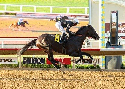 Del Mar Sunday: Tizamagician Cougar II Favored in Feature