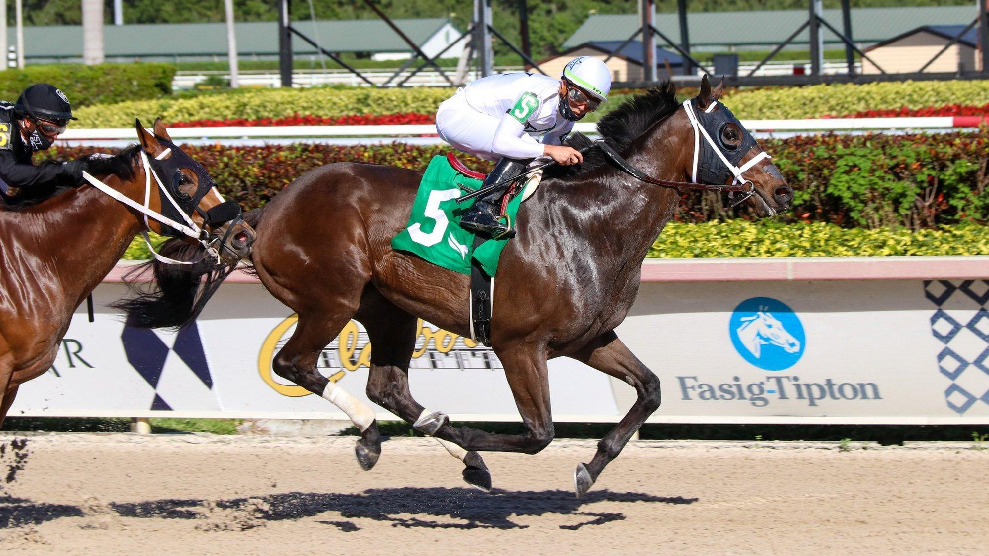 Saratoga Thursday: Birdstone Staktes, Fearless Returns