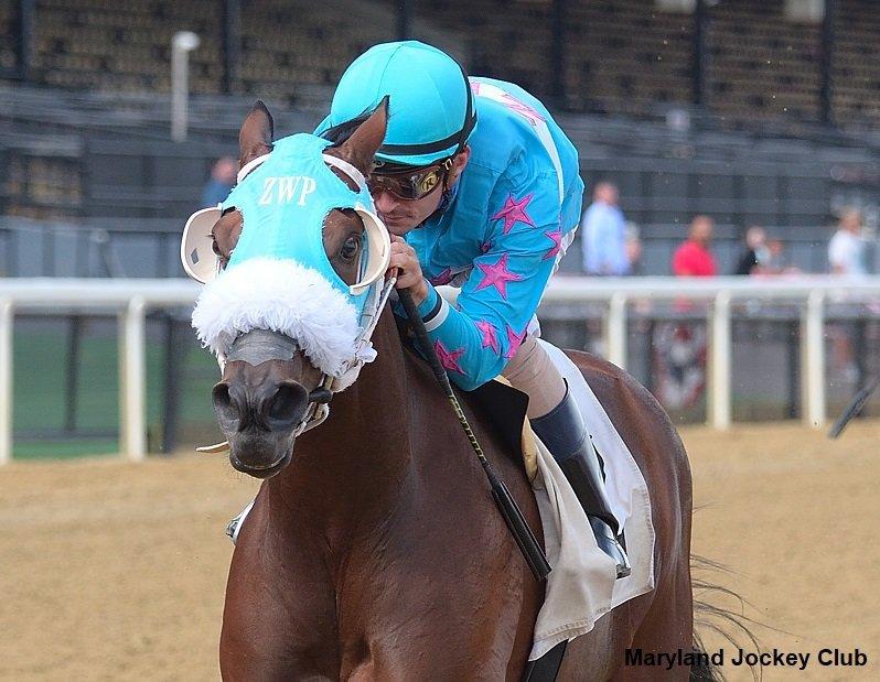 Laurel Park Saturday: Action Packed Card Includes Stakes Quintent