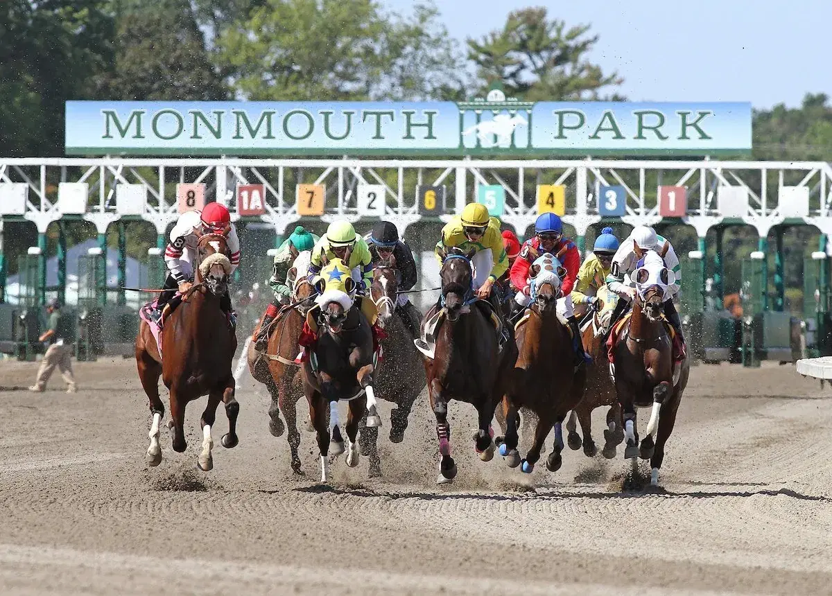 Monmouth Park Picks: Pinot Grigio Handicap (09/13/2025)