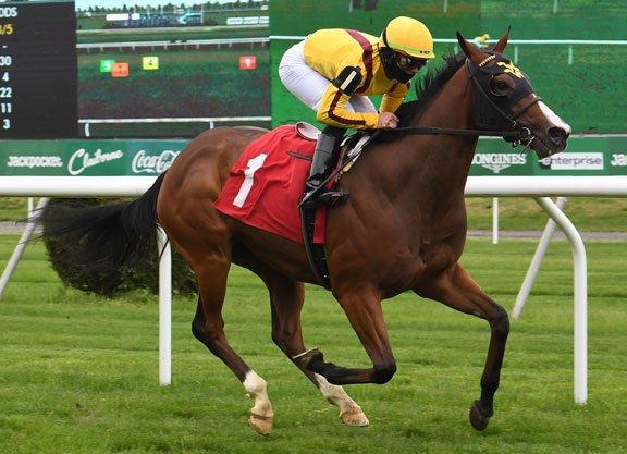 Del Mar Thoroughbred Club (7/29): Daisycutter Analysis