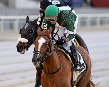 Saratoga Friday: Handicap Stakes Trio Featured in New York