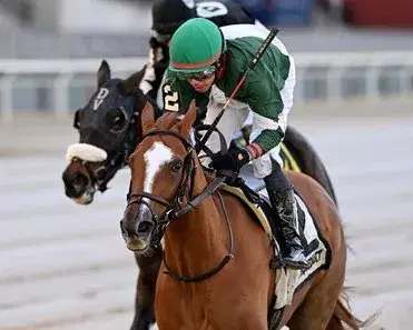 Saratoga Friday: Handicap Stakes Trio Featured in New York