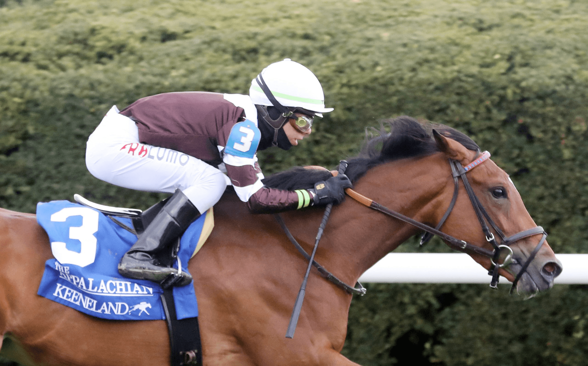 Del Mar Saturday: Spenderella Favored in the Grade 1 Oaks