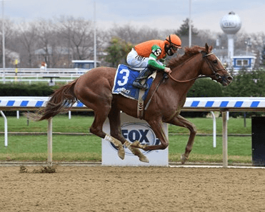 Forza Di Oro Favored at Monmouth Park in Grade 3 Stakes Race Saturday