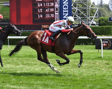 Jockey Club Oaks, Derby Featured Saturday at Belmont at the Big A