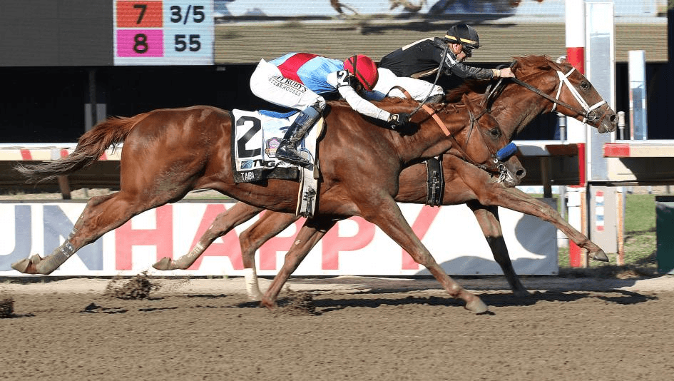 Pennsylvania Derby Draws Star Studded Field to Parx