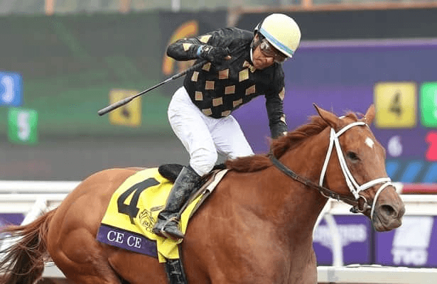Santa Anita Sunday: Speakeasy Stakes, Breeders’ Cup Implications