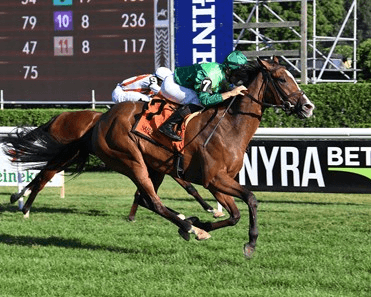 Pebbles Stakes Closes Opening Weekend of Belmont at the Big A