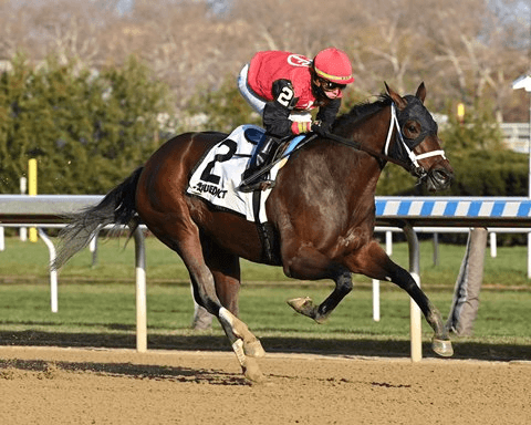 Belmont at the Big A; Sunday Gallant Bloom Stakes Analysis