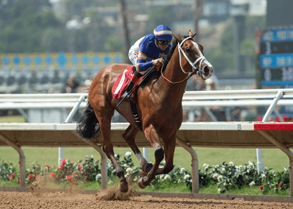 Torrey Pines, Green Flash Handicap: Del Mar Sunday Analysis