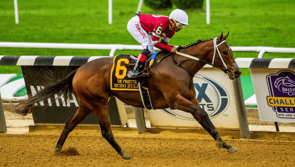 Belmont at the Big A Sunday: Frizette, Pilgrim Analysis