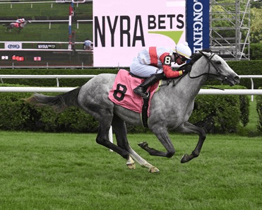 Noble Damsel, Hill Prince Stakes: Belmont Analysis, Selection