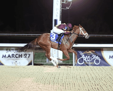 Lady Edith Narrow Floral Park Favorite: Aqueduct Sunday