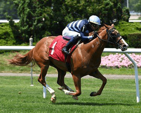 Aqueduct Friday: Glen Cove Stakes Analsysis, Selections