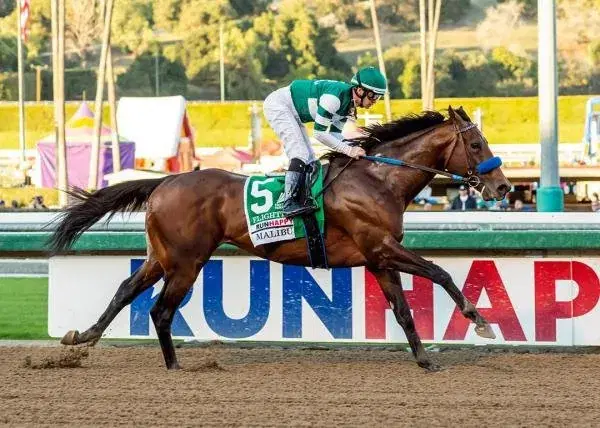 Superstars Headline Championship Saturday: Breeders’ Cup 2022