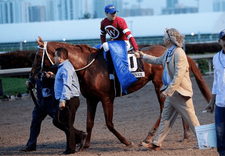 Zia Park Draw Big Names Tuesday: Stakes Analysis, Selections