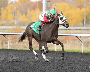 Parx Tuesday Analysis: Rare Midweek Stakes Trio