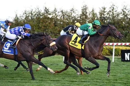 Aqueduct Saturday: Red Smith, Fall Highweight Analysis