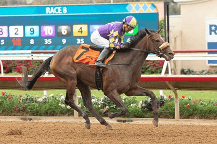 Del Mar Thoroughbred Club Saturday: Desi Arnaz Analysis