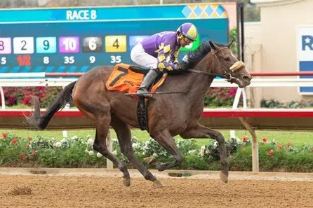 Del Mar Thoroughbred Club Saturday: Desi Arnaz Analysis