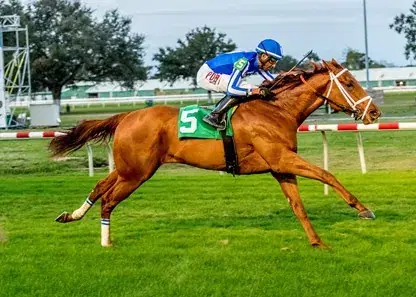 Fair Grounds Saturday Analysis: Stakes Trio Carded