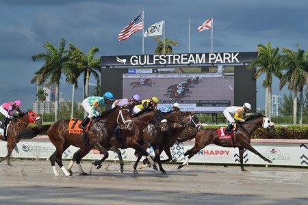 Gulfstream Park Picks
