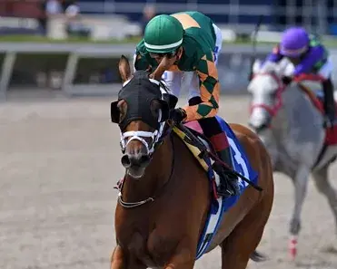 Gulfstream Park Analysis: Racing Week Concludes Sunday