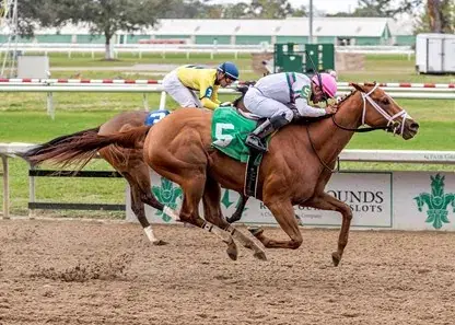 Louisiana Champions Day: Fair Grounds Saturday Analysis