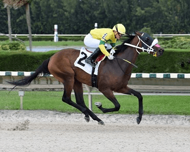 Gulfstream Park Thursday: Championship Meet Analaysis